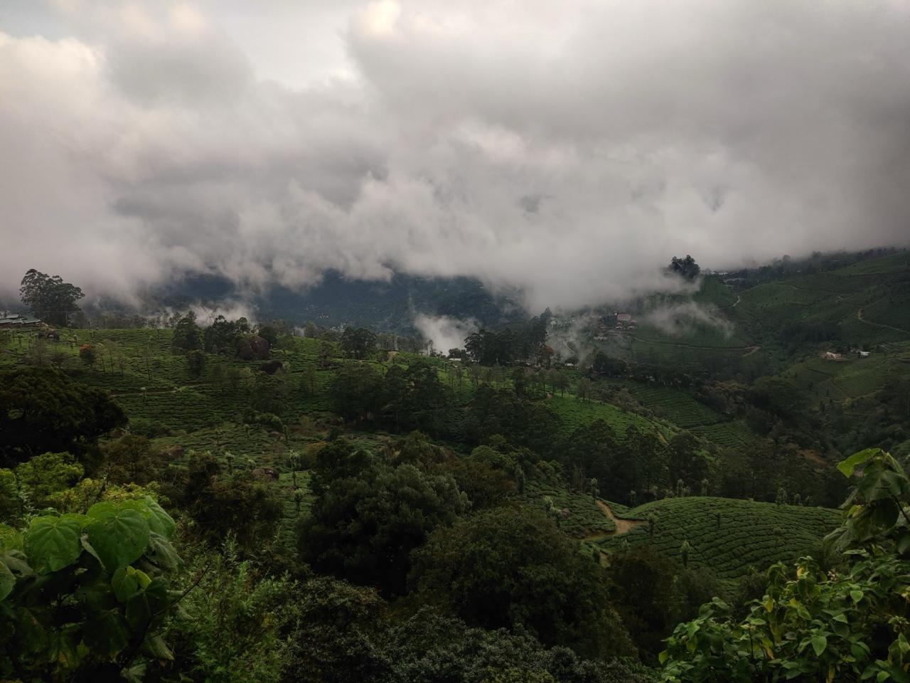 Munnar